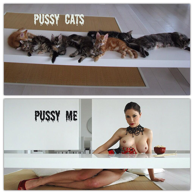 Pussy Cats, pussy me...