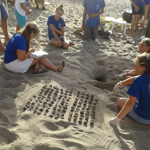 Χανιά: Γεννητούρια στην παραλία της Αγίας Μαρίνας (φωτο)