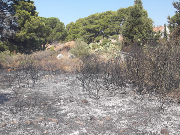 Μεγάλη φωτιά στο Ακρωτήρι Χανίων