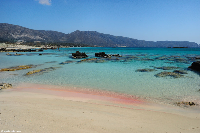 Χανιά:Πώς εξηγείται η ροζ άμμος σε Μπάλο και Ελαφονήσι  Οι 2 παραλίες που έχουν τρελάνει όλο τον κόσμο (Photos)