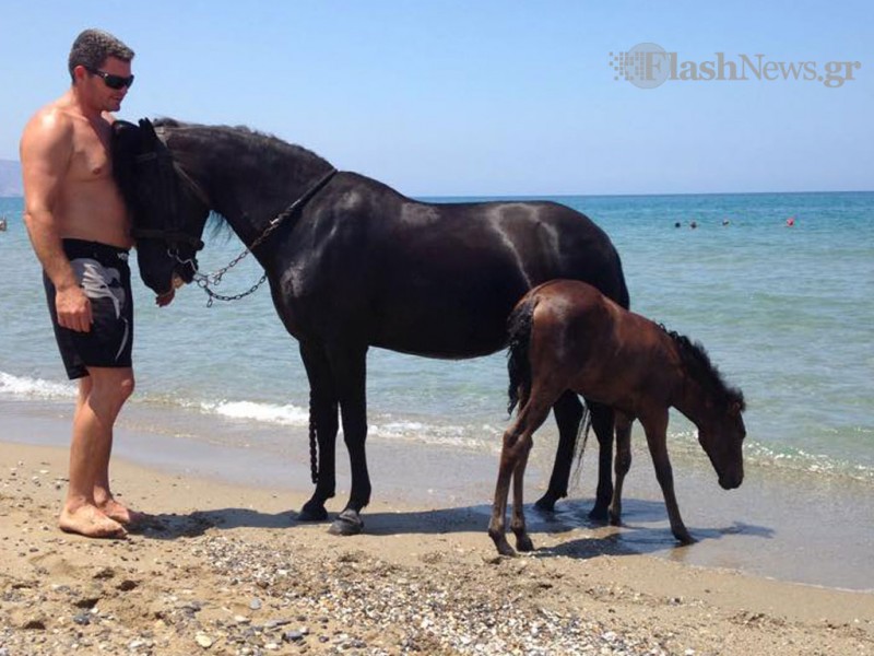 Οι λουόμενοι που τράβηξαν τα βλέμματα σε παραλία της Κρήτης (βίντεο & φωτο)