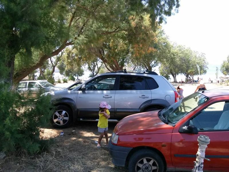 Χανιά: Ασυδοσία οδηγών στους Αγίους Αποστόλους  Έκαναν πάρκινγκ το δασάκι (Photos)