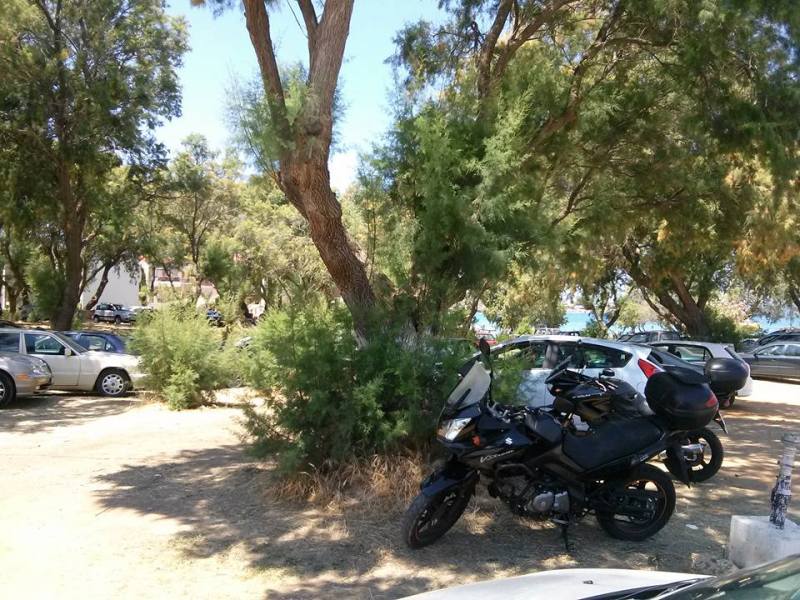 Χανιά: Ασυδοσία οδηγών στους Αγίους Αποστόλους  Έκαναν πάρκινγκ το δασάκι (Photos)