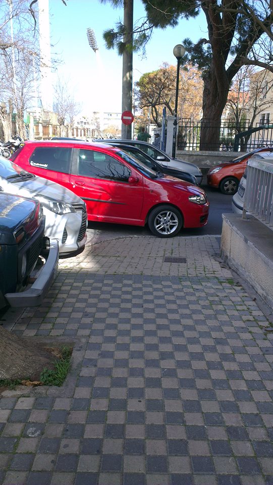 Χανιά: Γαϊδουρίστας για πολύ… ξύλο!