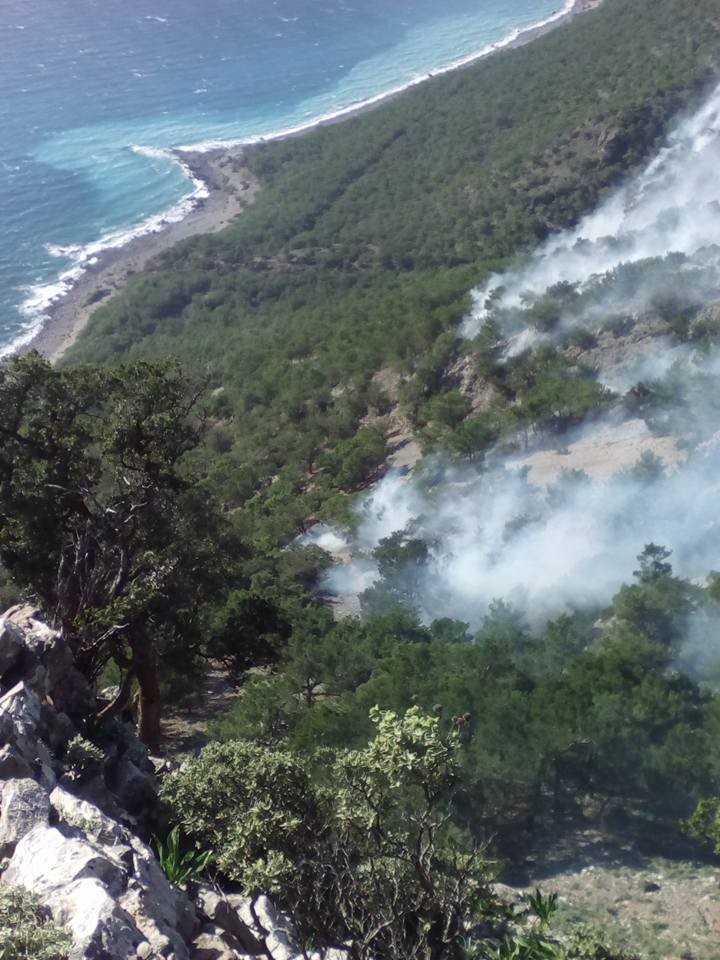 Καίγεται το δάσος του Άγιου Παύλου στα Σφακιά - Δεν υπάρχει πρόσβαση