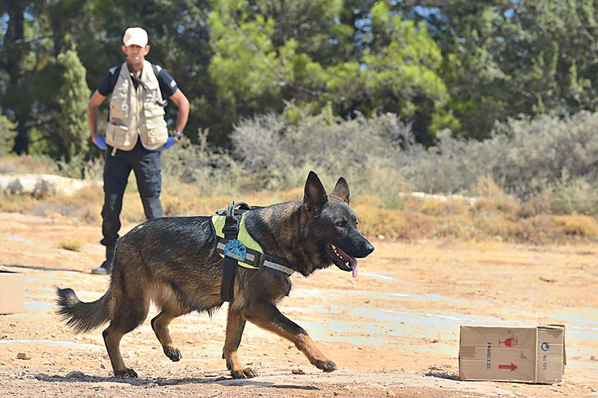 Έπιασε δουλειά η Κρητική Ομάδα Σκύλων  Περιπολεί και εντοπίζει φόλες και δηλητηριασμένα δολώματα  (Photos)