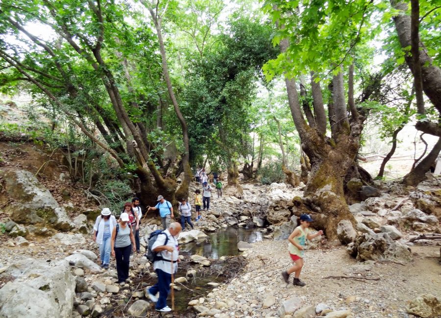 Αυτά είναι τα ομορφότερα φαράγγια των Χανίων (Photos)