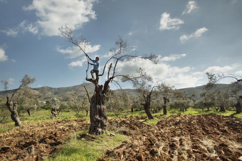 Κρήτη: Ρεπόρτερ του National Geographic μαζεύει χόρτα, μαγειρεύει και κουζουλαίνεται με τους Κρητικούς! (Photos)