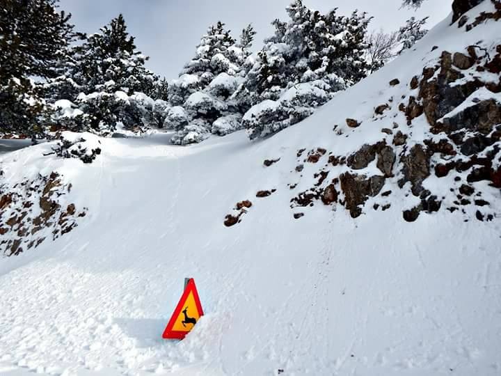 Ανοικτός ο Ομαλός μόνο με 4x4 και για έκτακτα περιστατικά