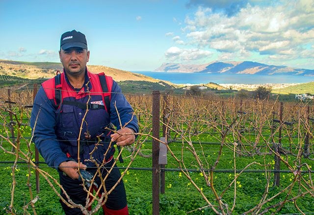 Βραβεύτηκε ως Αγρότης της Χρονιάς 2017 και είναι από τα Χανιά (φωτό)