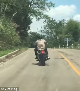 Βίντεο: Φίδι επιτίθεται σε μοτοσικλετιστή εν κινήσει