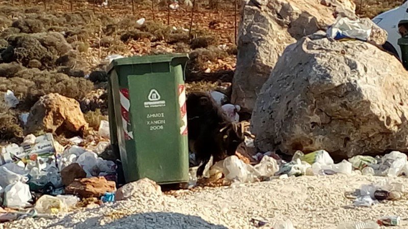 Σεϊτάν Λιμάνια: Παραλία κόσμημα στα Χανιά γεμάτη σκουπίδια