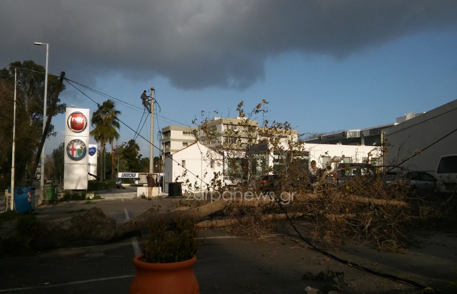 Δέντρο ξεριζώθηκε και έπεσε πάνω σε καλώδια στη Λεωφόρο Σούδας 