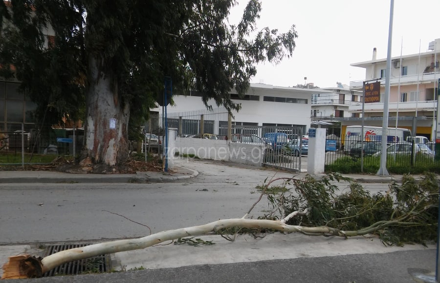 Δέντρο ξεριζώθηκε και έπεσε πάνω σε καλώδια στη Λεωφόρο Σούδας 