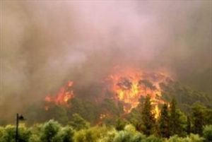 Πυρκαγιά στο Σίσι Λασιθίου