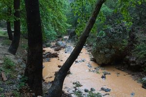 Έπεσε με το αυτοκίνητο στο φαράγγι του Θερίσσου