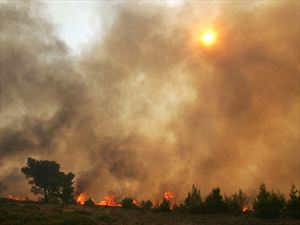 Βιβλικές καταστροφές σε Χανιά και Ρέθυμνο από τις φωτιές σε Κίσαμο και Πλακιά αντίστοιχα