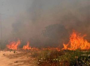 Πυρκαγιά μεταξύ Φουρνέ και Θερίσσου