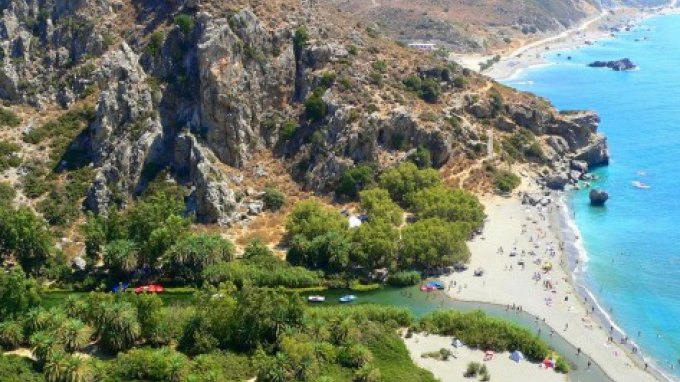 Τρία χρόνια μετά το... "έγκλημα", αναγεννήθηκε πλήρως το φοινικόδασος στην Πρέβελη