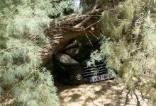 Δέντρο καταπλάκωσε αυτοκίνητο στο πάρκο των Αγίων Αποστόλων