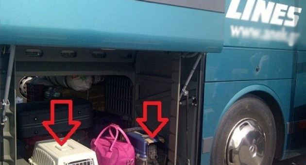 Καταγγελία για νταή οδηγό στα ΚΤΕΛ Χανίων - Ρεθύμνου