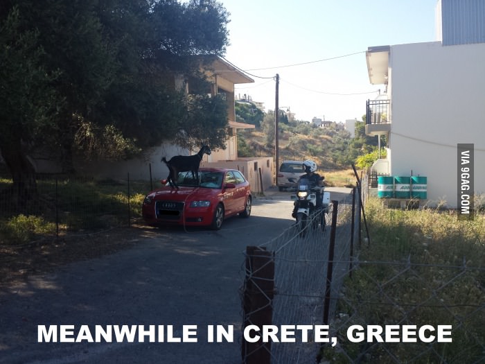 Το τετ-α-τετ Κρητικού αστυνομικού με κατσίκα που κάνει το γύρο του διαδικτύου