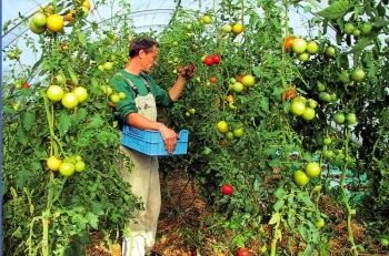 Πάνω απο 22 εκατ. ευρώ σε νέους αγρότες στην Κρήτη-Δείτε όλα τα ονόματα