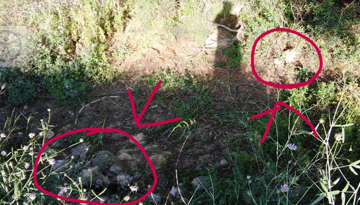Τουλάχιστον 11 ζώα δηλητηριασμένα σε Γαλατά και Νέα Χώρα του Δήμου Χανίων