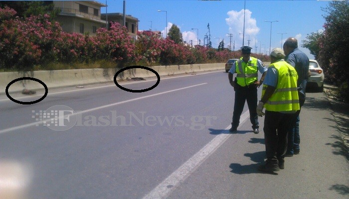 Φονιάς πέταξε 4 σκυλιά στην εθνική οδό - Τα δύο σκοτώθηκαν