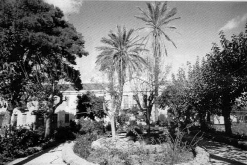 Τα Χανιά στις δεκαετίες 1910 – 1960 (Photos-video)