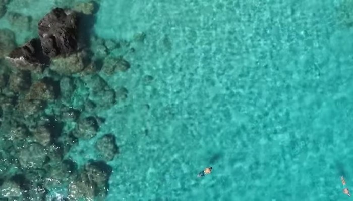 Το βίντεο μιας παρέας που απόλαυσε τις χανιώτικες παραλίες (βίντεο)