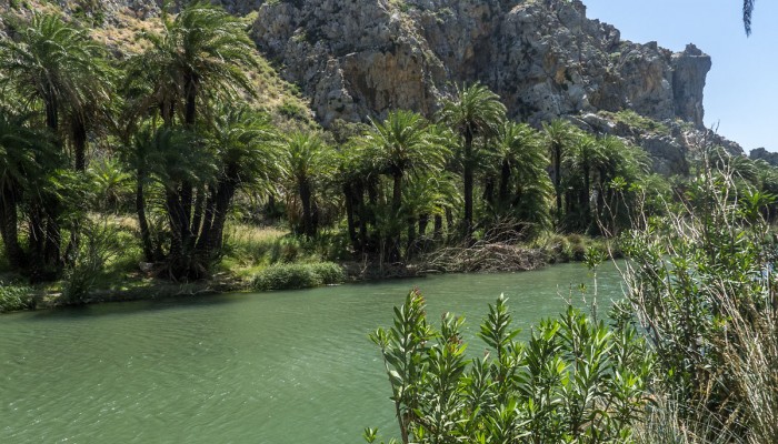 Έκανε έφοδο η αστυνομία στην Πρέβελη Ρεθύμνου