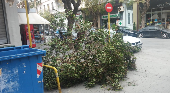 Χανιά: Μαθητής τραυματίας από πτώση δέντρου στο Λυκείου Βάμου