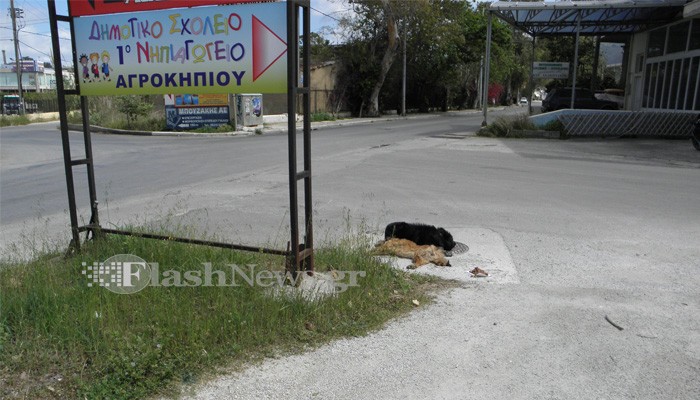 Έριξαν φόλες στο Αγροκήπιο Χανίων κοντά σε σχολείο