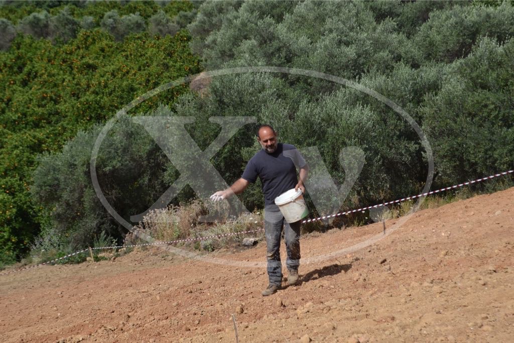 Ξεκίνησε η βιομηχανική κάνναβη στα Χανιά