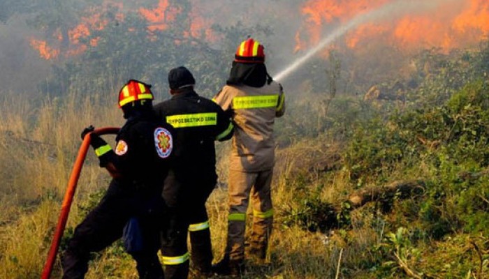 Πυρκαγιά στην Κίσαμο καίει ελιές και δασική έκταση