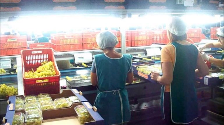 Κρήτη: Όχι μόνο επανήλθε δυναμικά, αλλά ζητά και εργατικά χέρια!