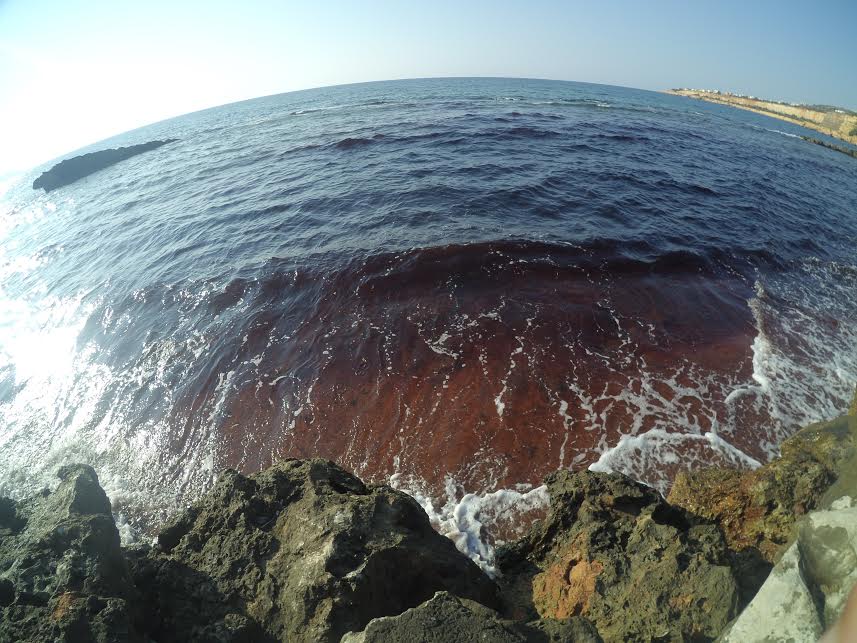 Χανιά: Ματώνει η θάλασσα στα Ταμπακαριά (Video)