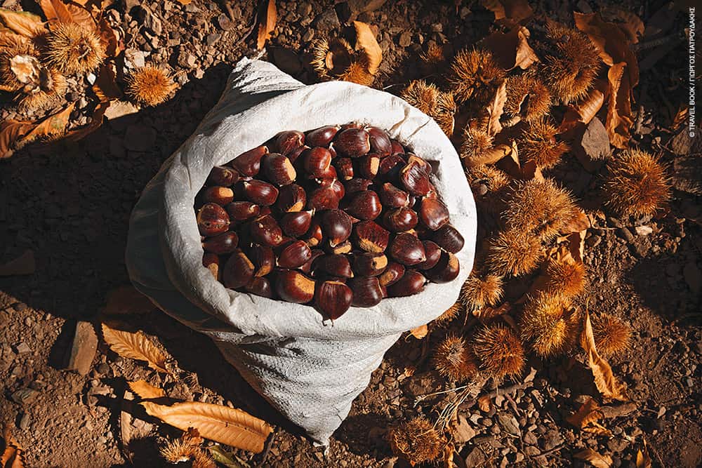 Χανιά: Μπράβο τους! Οι καστανοπαραγωγοί του Έλους έβαλαν τα κάστανα στα σούπερ μάρκετ της Ιταλίας
