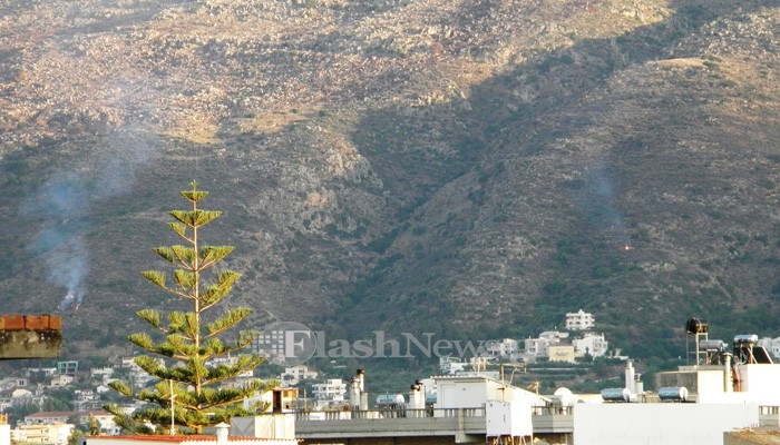 Πυρκαγιά και πάλι στα Τσικαλαριά (φωτο)