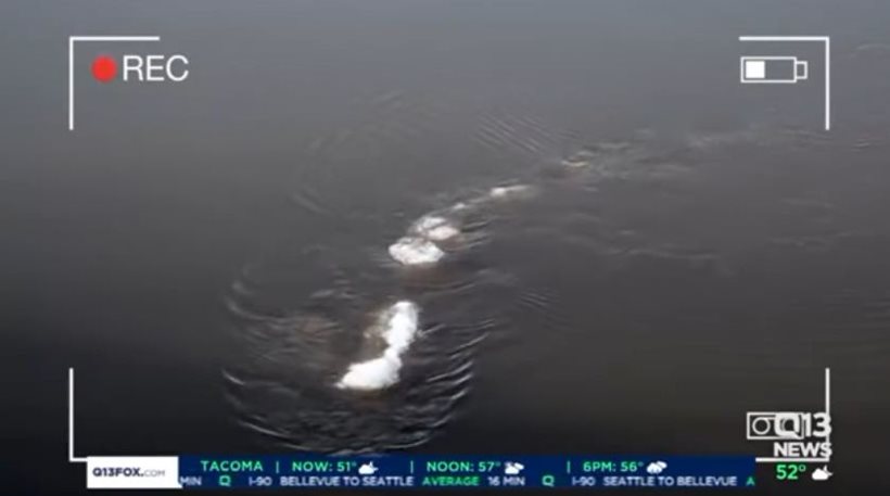 Δείτε βίντεο: Το τέρας του Λοχ Νες μετακόμισε στην Αλάσκα;