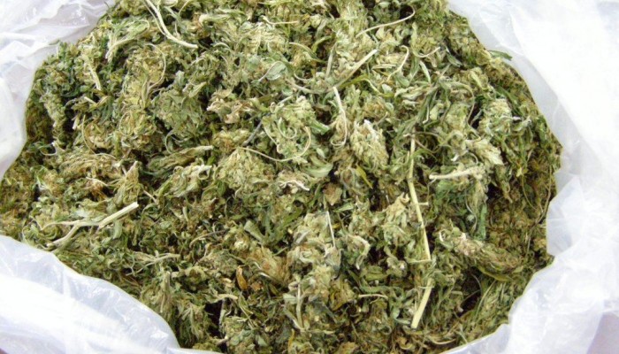 Πιάστηκε 24χρονος Χανιώτης που είχε χασίς στο σπίτι του