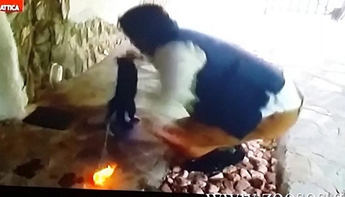 Οργή φιλόζωων για κρητική χιουμοριστική τηλεοπτική σειρά
