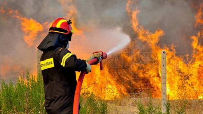 Χανιά: Στο πόδι η Πυροσβεστική Φωτιά από το πρωί στο Φωτακάδο