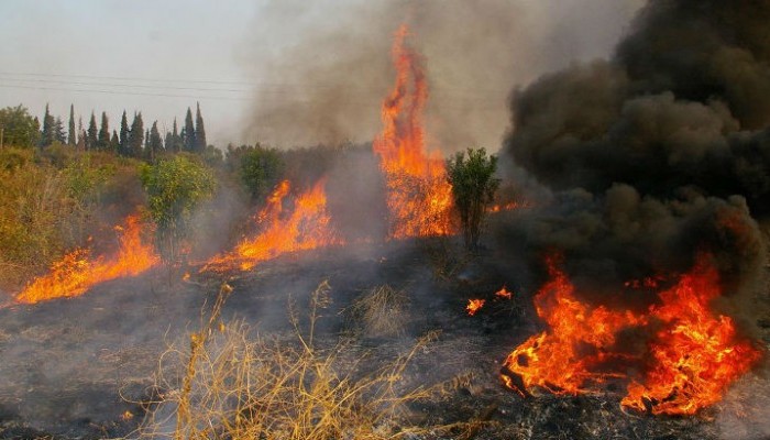Χανιώτες που έκαιγαν κλαδιά υπεύθυνοι για τις φωτιές σε Ροδωπού & Φωτακάδο