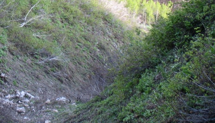 Δολοφονήθηκε 32χρονος Κρητικός στη Γερμανία
