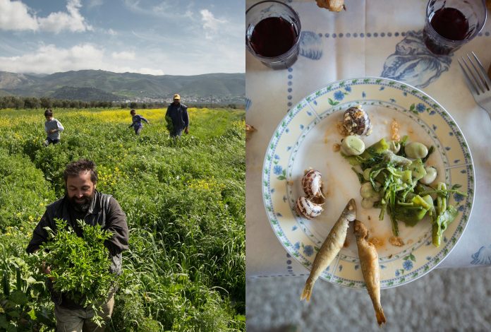 Κρήτη: Ρεπόρτερ του National Geographic μαζεύει χόρτα, μαγειρεύει και κουζουλαίνεται με τους Κρητικούς! (Photos)