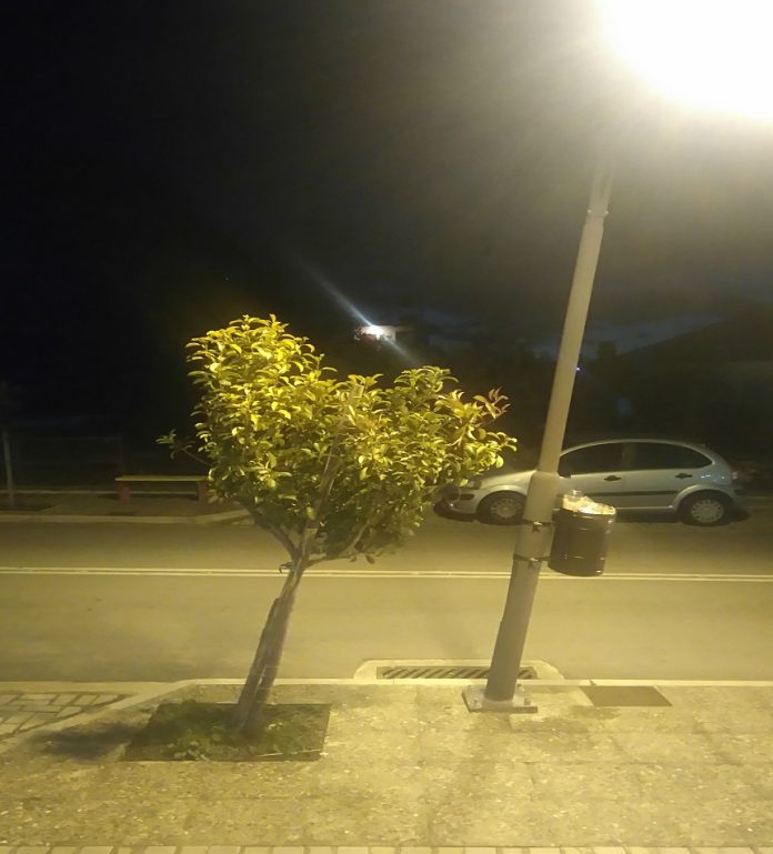 Χανιά: Δουλειές του ποδαριού! Ξεριζώθηκε δέντρο μετά από τροχαίο και δείτε πώς το έβαλαν στη θέση του! (Photos)