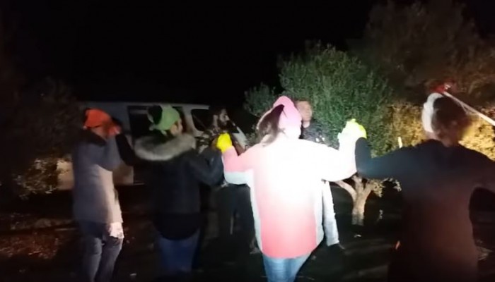Αυτά μόνο στην Κρήτη - Μαζεύουν ελιές το βράδυ με χορούς,τραγούδια και ρακί