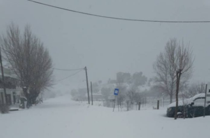 Χανιά: Ένα μέτρο χιόνι στον Ομαλό! (video)